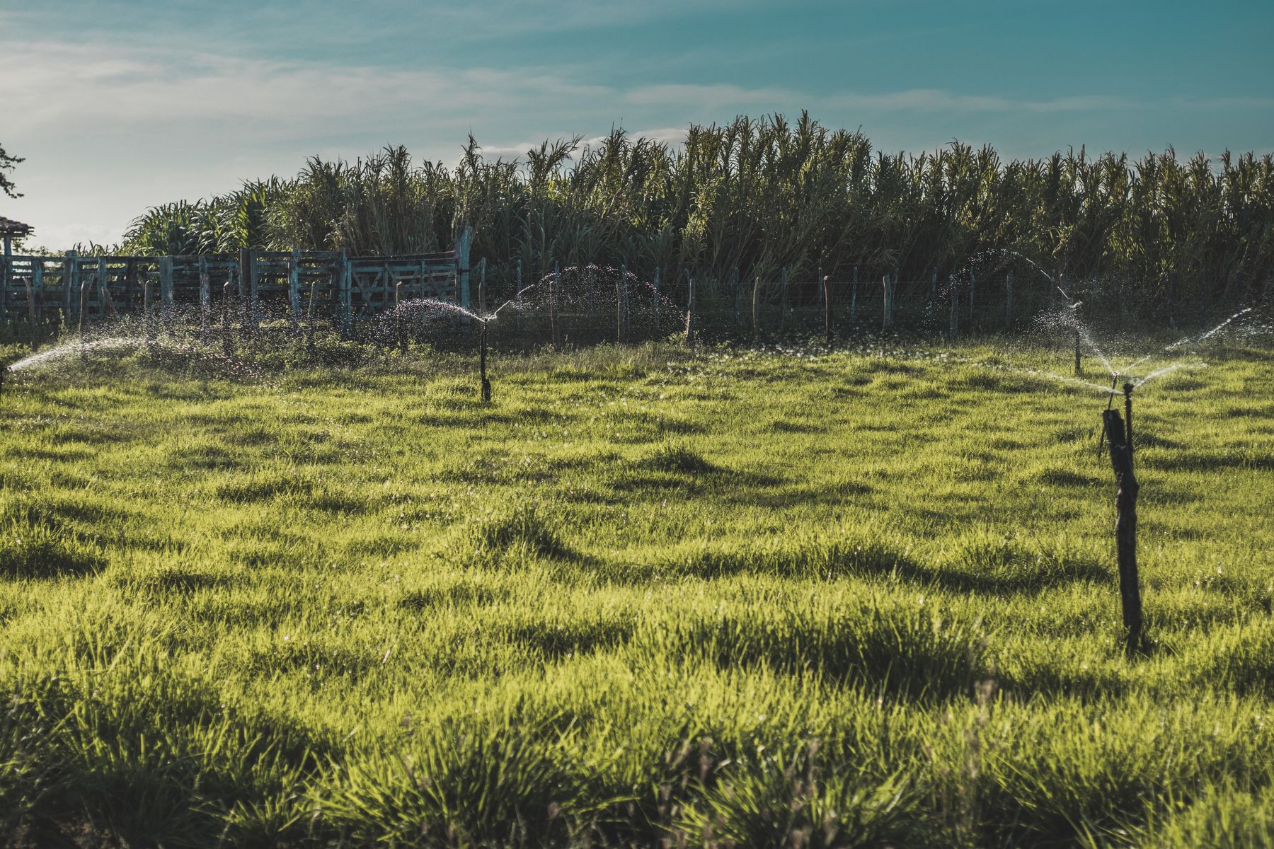 Sistema de irrigação por aspersão em área agrícola